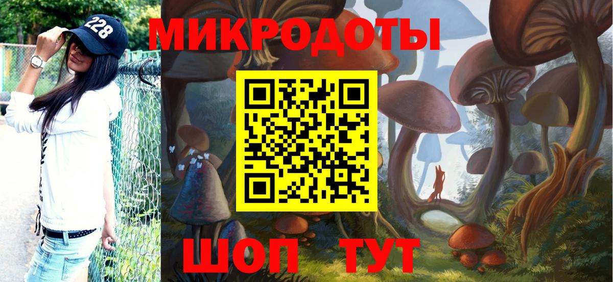 Алапаевск  Псилоцибиновые грибы Magic Shrooms  Вход с VPN  продажа наркотиков  Псилоцибиновые грибы ЛСД 